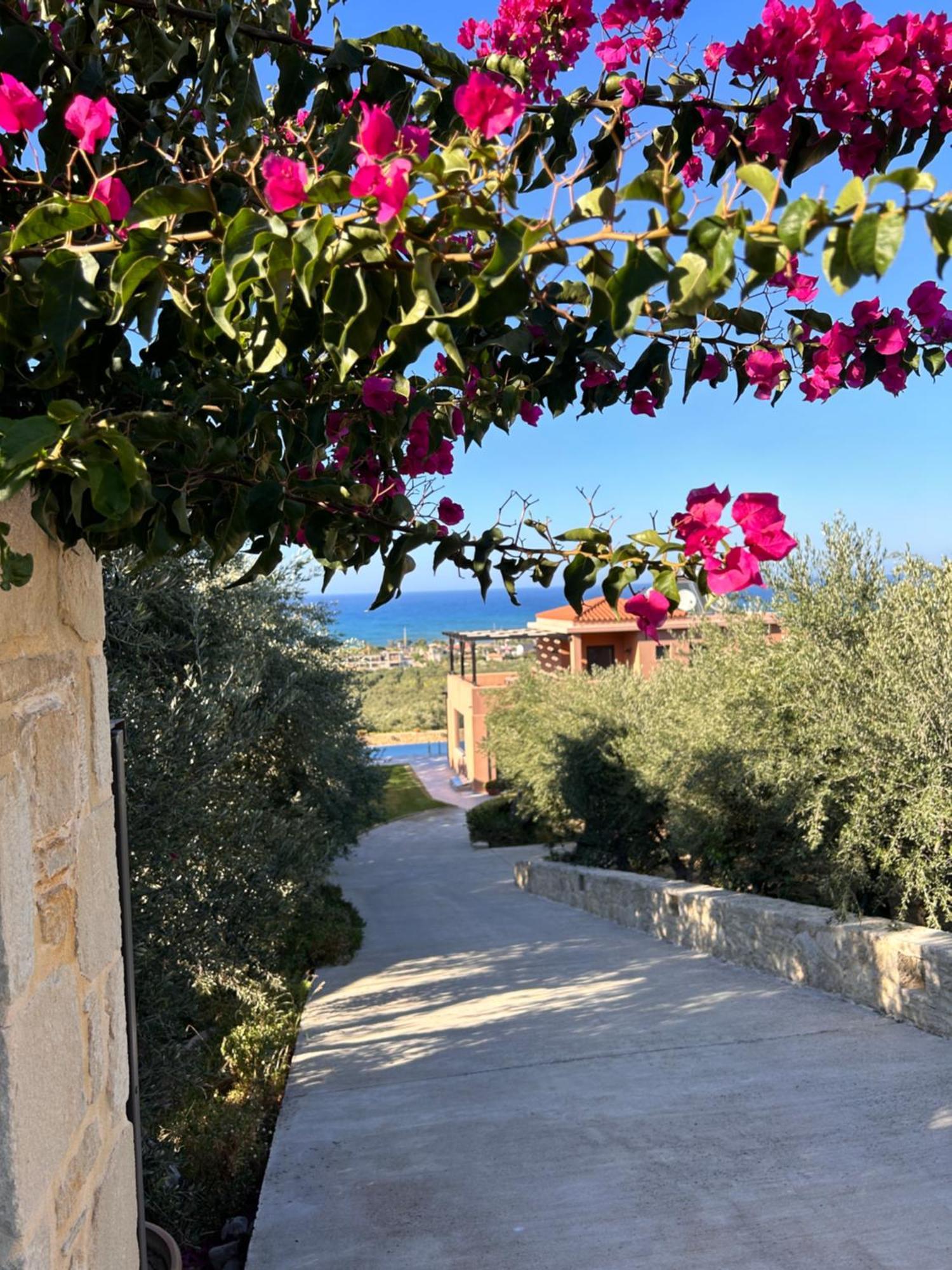 Villa Kudos Maleme Dış mekan fotoğraf